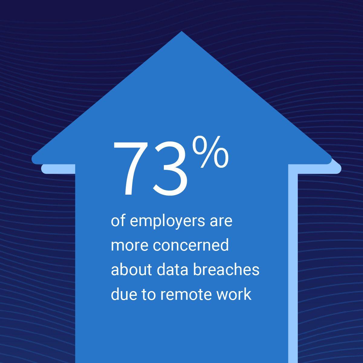 Employer Concern of Data Breaches Infographic